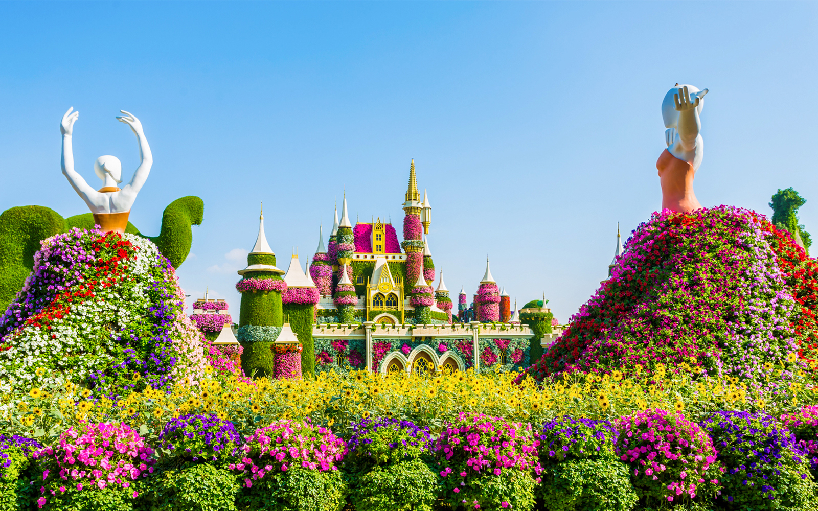 MIRACLE GARDEN